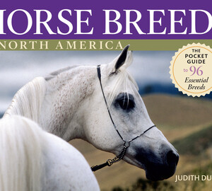 Horse Breeds